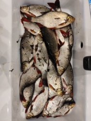 43256649-e6b5-48b8-8c13-fed941c63959