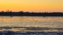 c4586de9-f760-4005-9ef0-913bc7b7a58d