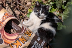 b1ad1c4c-9ba7-4501-b5b6-d98c15b915bf