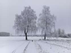 b1f76bd1-676d-428f-9de4-850398f6cd7f