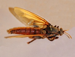 9d1fe4e6-abd9-4e52-a1ec-4cc30fcc3de6