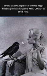 52dd8935-fca8-47f7-984d-2eb512806ff2