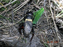 054abdd0-6c13-4700-acab-296e9e0ba98d