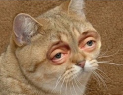 b3e5a7c8-e857-4172-9420-b2df46b3c94c