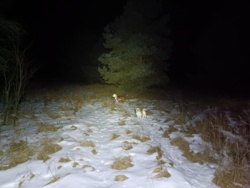 2c474110-fdfc-4154-8f95-9f0b191f8aa2