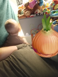 8c7fb3bf-2fff-4dc2-a7d8-b59144158544