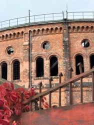 382df1ad-ca5b-4bf0-a31b-ad998c0f3b3f