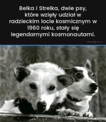 f81c1fe9-79f7-4fcf-9a5c-c1d83e433f2e