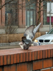 01d28539-3146-4624-96a9-36494cd3dc3a