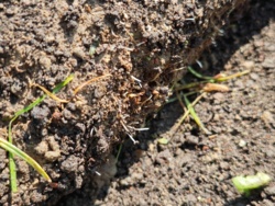 6d172dcf-67fd-4ff2-a095-70b8045ab3bc