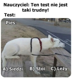 bc58ac7e-3a57-4ac7-98ed-ec22635b29bb