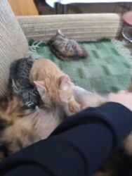 f6208678-f280-4e52-ab43-ecd4b649e383