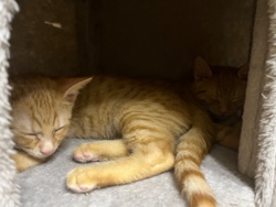 db004838-0392-40c3-affe-28d5d01a43ba