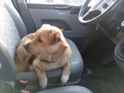 f02ac6ca-97ad-4fbf-90c6-ce1fd6cdcc9d