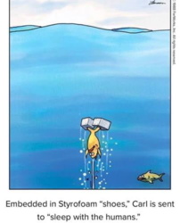 eeaab653-d0cf-407e-9f6e-1b46a53c3e2b