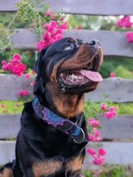 864734f7-d12d-47d8-8475-35d699fed7cd