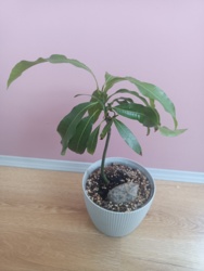 5f1880eb-1a02-4775-90fb-4303e9dc4cdc