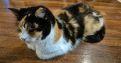 165ca7c4-e562-4114-8bd3-32ce588252c7