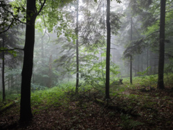 39a0c6e4-58c0-4145-9f1c-0aed2a7567dc