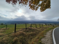 000c3976-65e2-44e8-a6d6-4e60975acda3