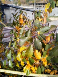 4430e2c5-3155-47e8-a14c-d54ce971ebe1