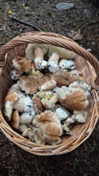 af1e696e-5ab3-46db-8299-1060eacb8dd1