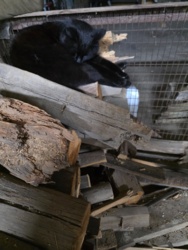 a14aa434-d14e-4e5c-813b-1106bcbdaa1e