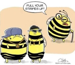 d3aa99ba-fcc3-4978-8cd4-e73f05acc808