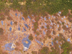 ab303ae7-f7c5-415f-858a-1b05d5ebf9bf