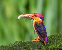 85a105cc-6651-4cb0-9a07-11b67561c91e