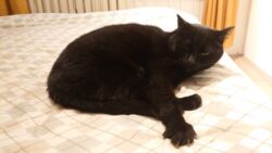 5bbfea20-c59c-438c-b03c-aaf41b4e2db6