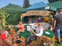 91f6784d-c967-444d-9e16-c8387ceda20f