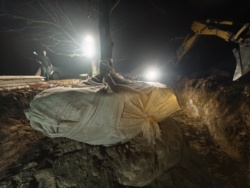 0f236dbc-f860-44a6-8f68-161fdb8e3002