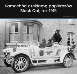 174d8d78-c3f4-4b9a-b3bc-364f70b87f95