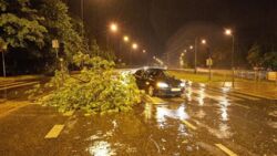 Zerwane dachy, podtopienia, ewakuacje obozów harcerskich. Burze i ulewy nad Polską