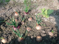 64963038-fc7b-44d7-b088-75142c734c4f