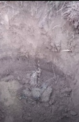 bb4b4151-417a-4434-a077-c21b81409563