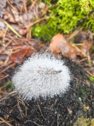 e3fc9241-26ba-4ae1-8ca6-0ca5c20b85dd