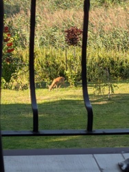 f409587b-fcef-44bd-9298-ec3fc585d602