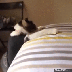 c93905e5-ab24-46e8-b80e-25a1717a7f54