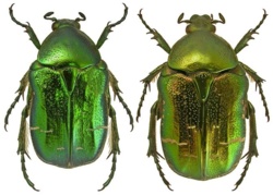 fbe129a6-d556-4c1a-b1f3-300a0cd3f203