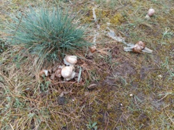 d33dcda7-4b65-4b8e-945c-576f4c8df70d