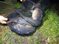 7277f2eb-0c5b-4207-baed-5ae63e5f7da0