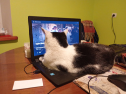 48a7deb0-3e59-4d8f-8e5d-05388c4d7535