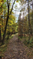 0e3c87ee-3210-4abc-9163-5fcb40de3054