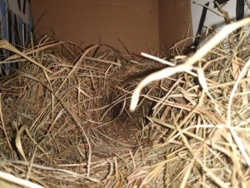 abaf1dae-cc5a-4aa5-ad67-ea0b2a88a003