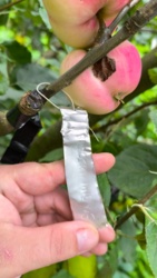 0f1ee489-a389-4547-9930-8110cada776e