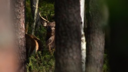 be440b02-550d-469a-a6a0-5d2b8c3b9f87