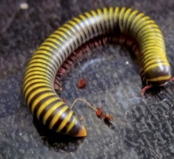 ce6a6f6b-36c8-4a9c-a5ee-90aadeb66462