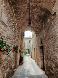 b20e06a5-42cc-4fd0-b325-93396cbd6088